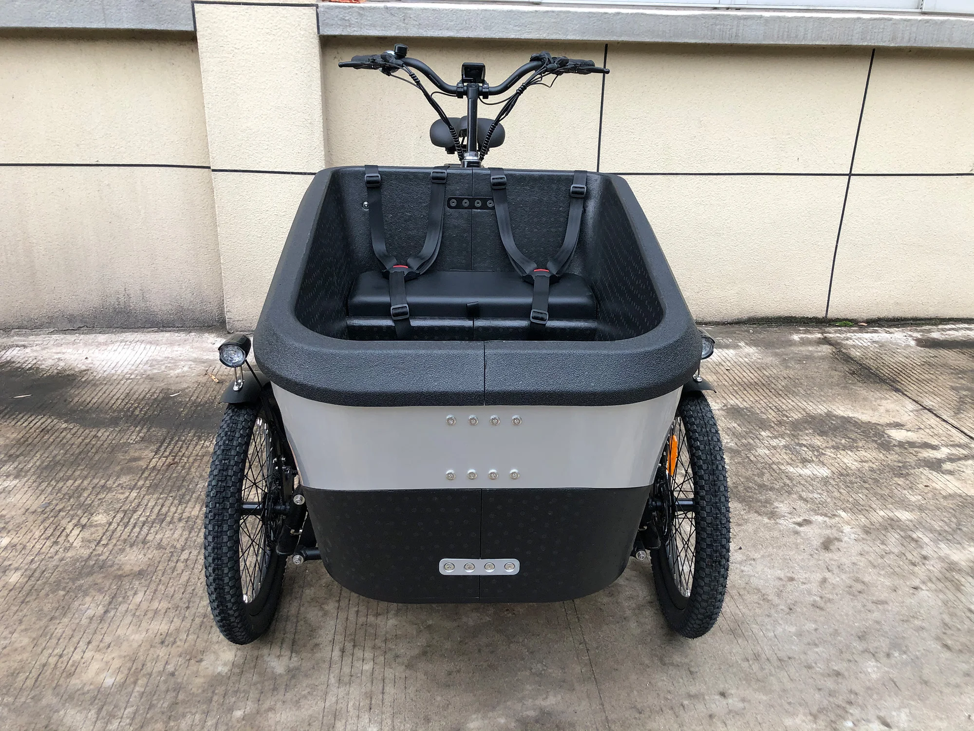 electric bike 3 wheels cargo electric ebike e-cargo family e bicycle epp foam box for adults carry children and baby