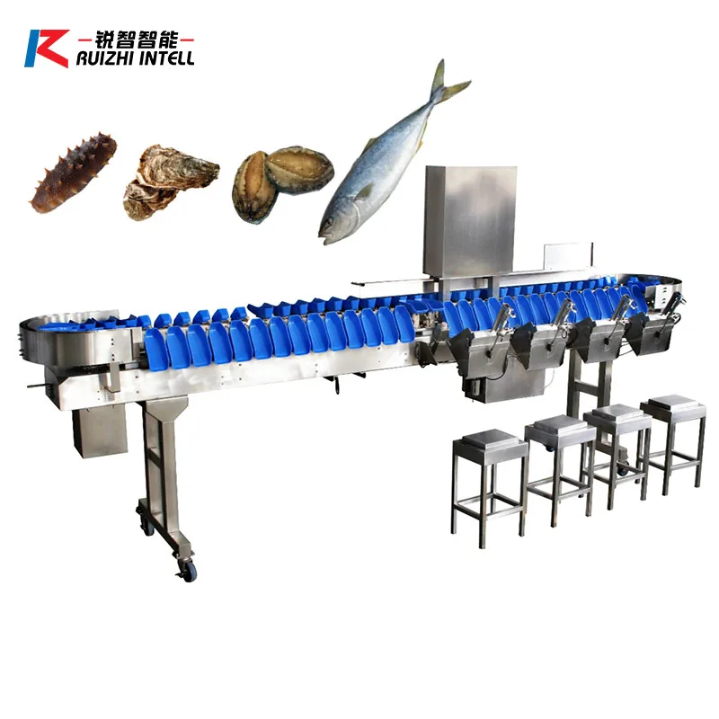 Factory directly supply crab shrimp seafood scale sorter weight grading machine for sale