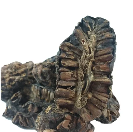 
DRIED- NONI FRUIT HIGH QUALITY GOOD PRICE VIETNAM ORIGIN/ Vivian Ha +84 33 88 20 462 