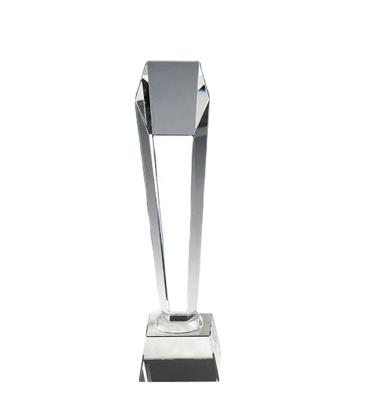 Хрустальная акриловая прозрачная Толстая награда с индивидуальной печатью