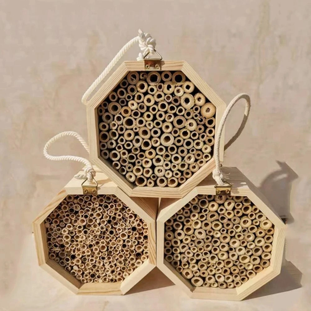 Mason bee House garden natural wood creative honeycomb attracts peaceful bee pollinators