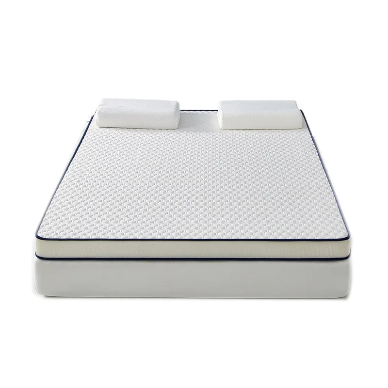 Wholesale latex mattresses cushioned student dormitories single special MATS for renters home tatami sponge mattress mattress