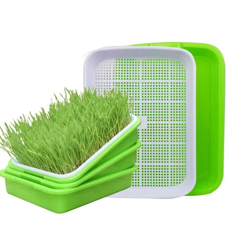 Sprouting Pea Bean Peanut Hydroponic Planting Nursery Seedling Microgreen Tray For Soilless Cultivation Germination Plate