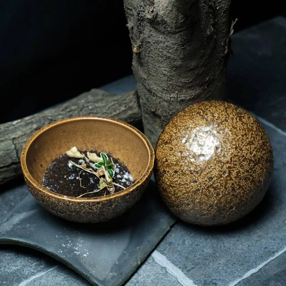 Instock Porcelain Restaurant Brown Bowls Crockery soup Bowls ceramic tureen tureens pots chinese porcelain tureens