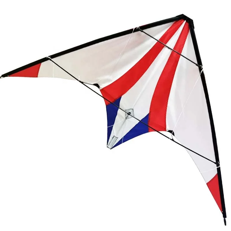Customized outdoor sport dual line delta stunt kite