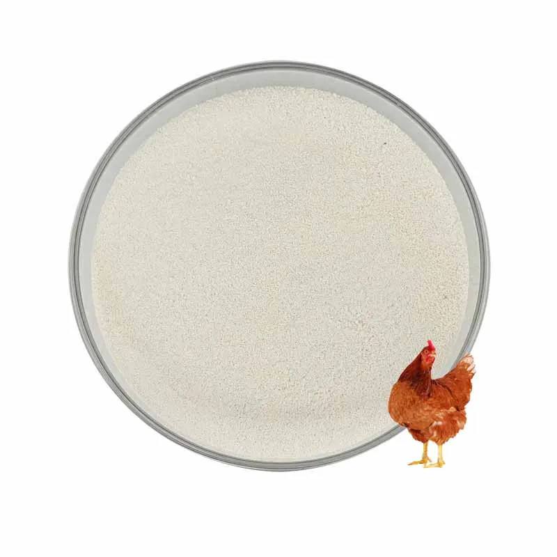 broiler feed enzymes thermostable phytase