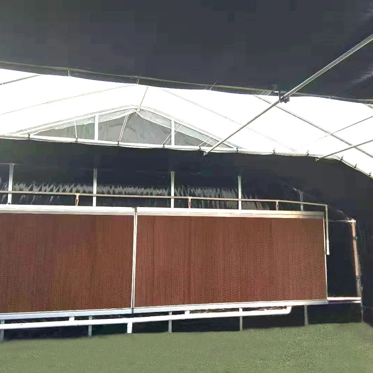 Agricultural Blackout Light Deprivation Greenhouse