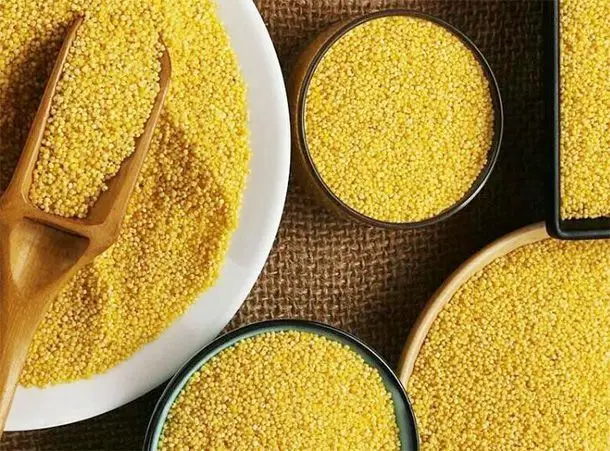 China Factory Good Quality Organic Healthy Ingredients Yellow Seeds Foxtail Millet