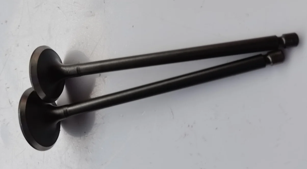 
High Quality Intake Valve WE0112111 for 2009-2011 Ranger 