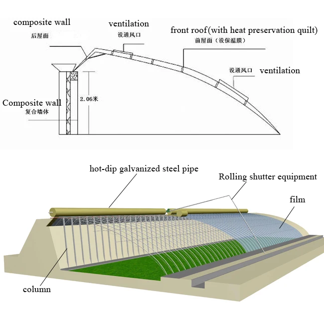 
Agricultural planting economy sunlight greenhouse 