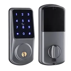 Factory delivery WIFI APP electronic deadbolt biological  keyboard password intelligent door lock