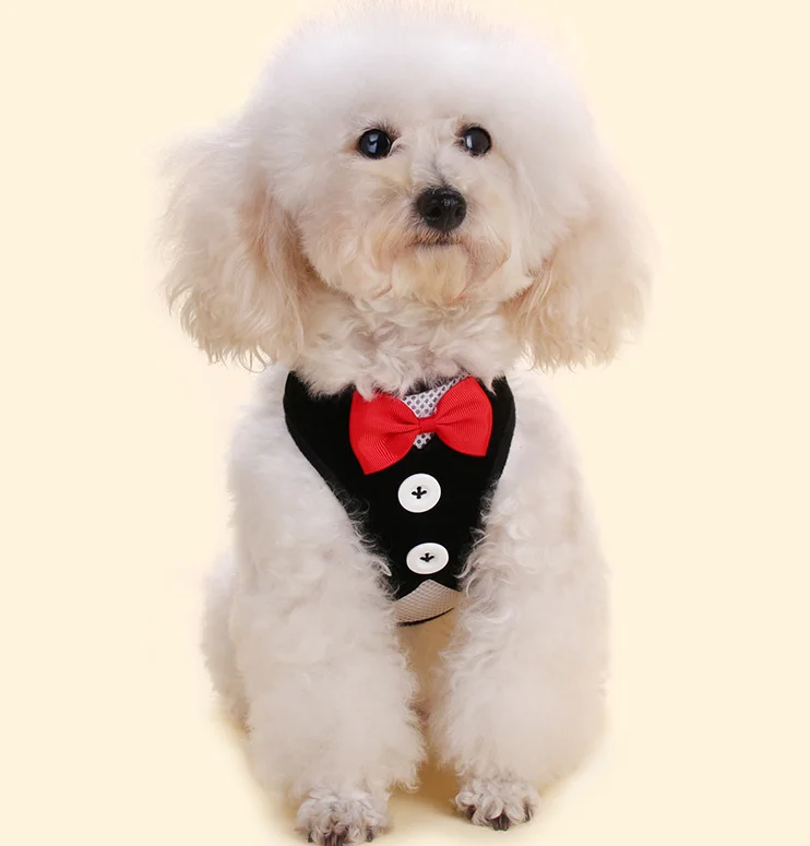 
New arrival wholesale popular pet clothes hot pet accessories warm coat dog clothes 
