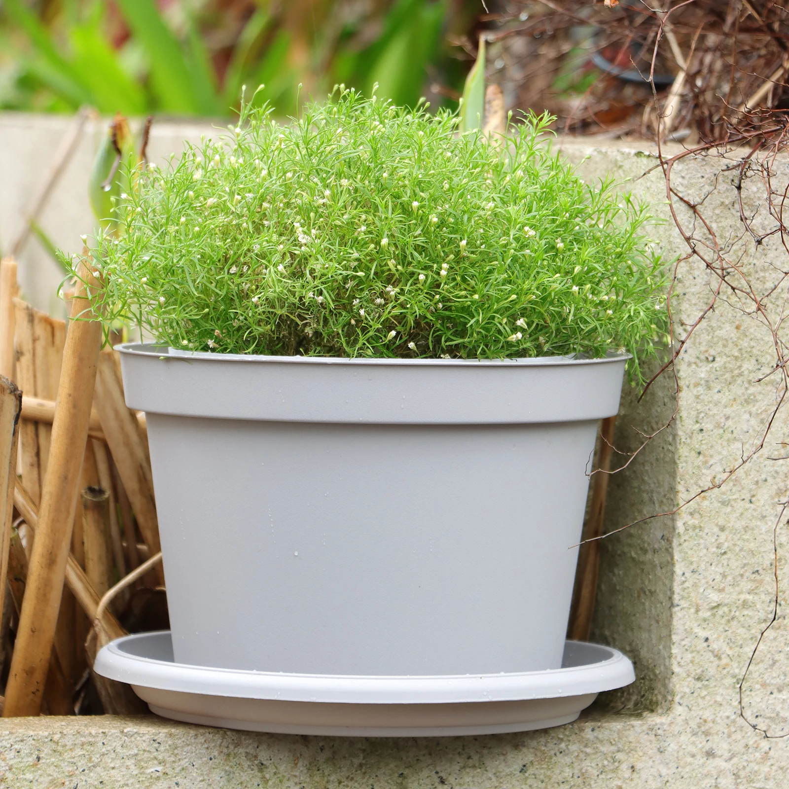UV-Resistant Small/Medium Succulent Pots With Round Tray Orchid Pots With Bottom Drainage Holes Round Plastic Flowerpot