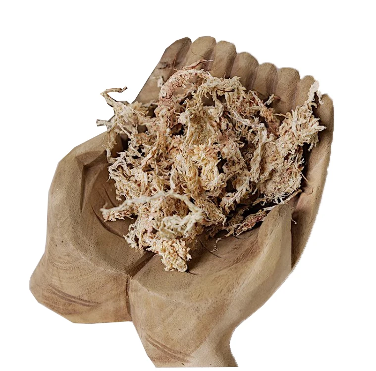 TY Factory Supplying succulent cultivation medium sphagnum moss dried sphagnum moss for Potted flowers