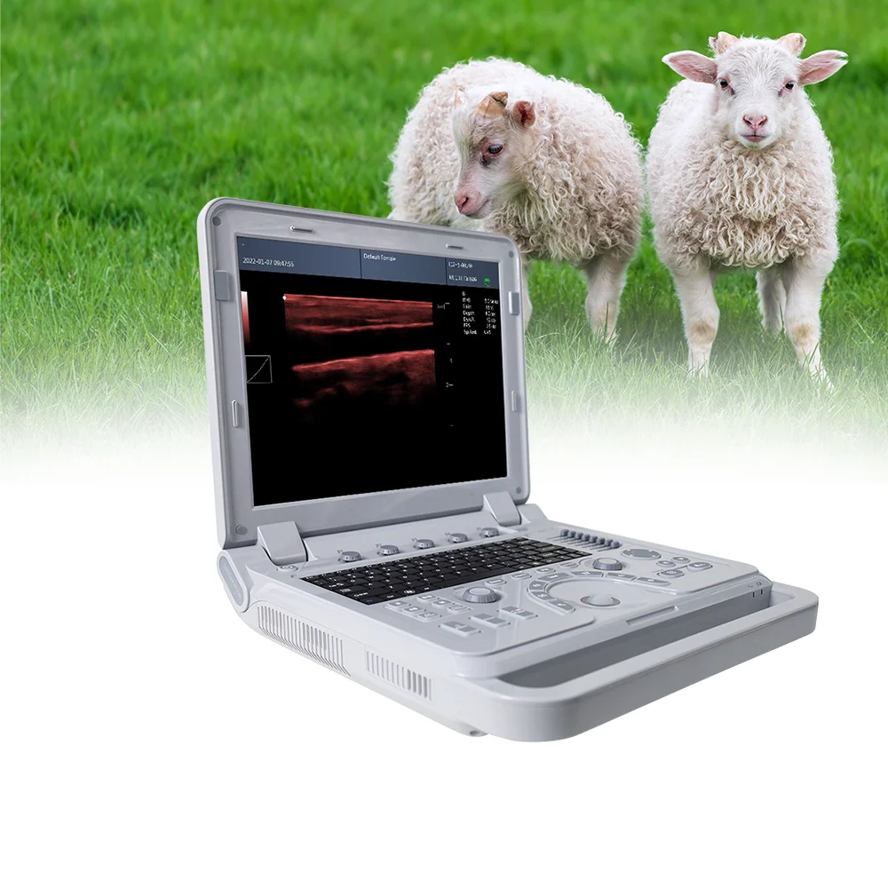 CONTEC CMS1700A VET Sonography veterinary Echocardiography Vascular Ultrasound color doppler