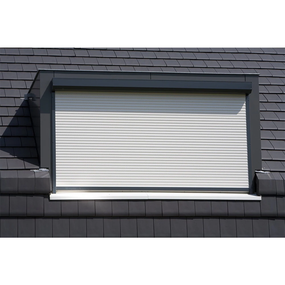Best price hurricane-proof high quality aluminum garage rolling door and home roller blinds for house