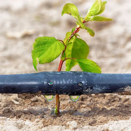 wholesale 4inch 16mm black agriculture farm underground drip irrigation pipes