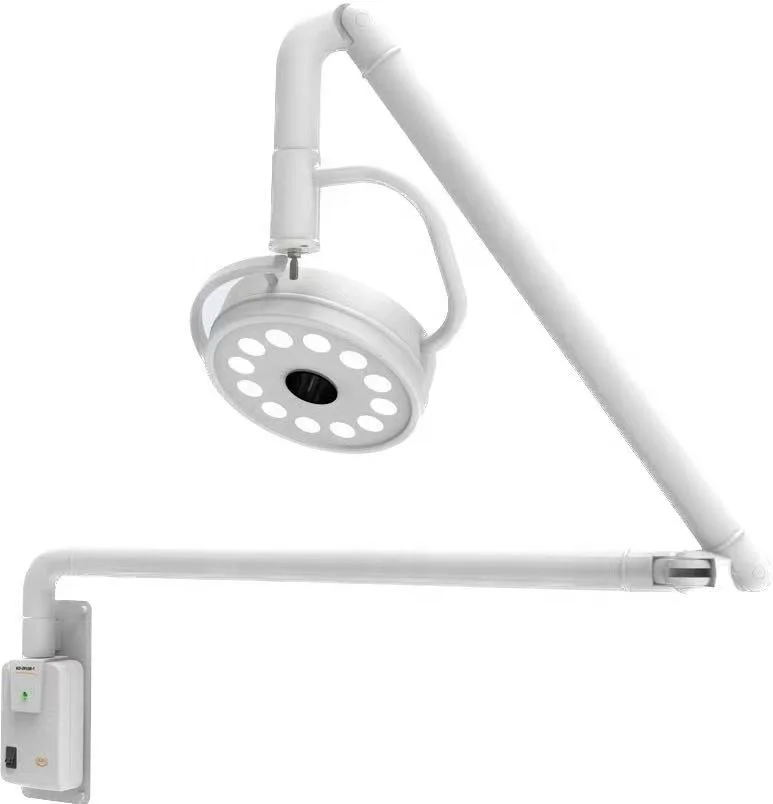 mobile/wall mounted gooseneck ceiling dental hospital led examination surgical head lamp light clinic