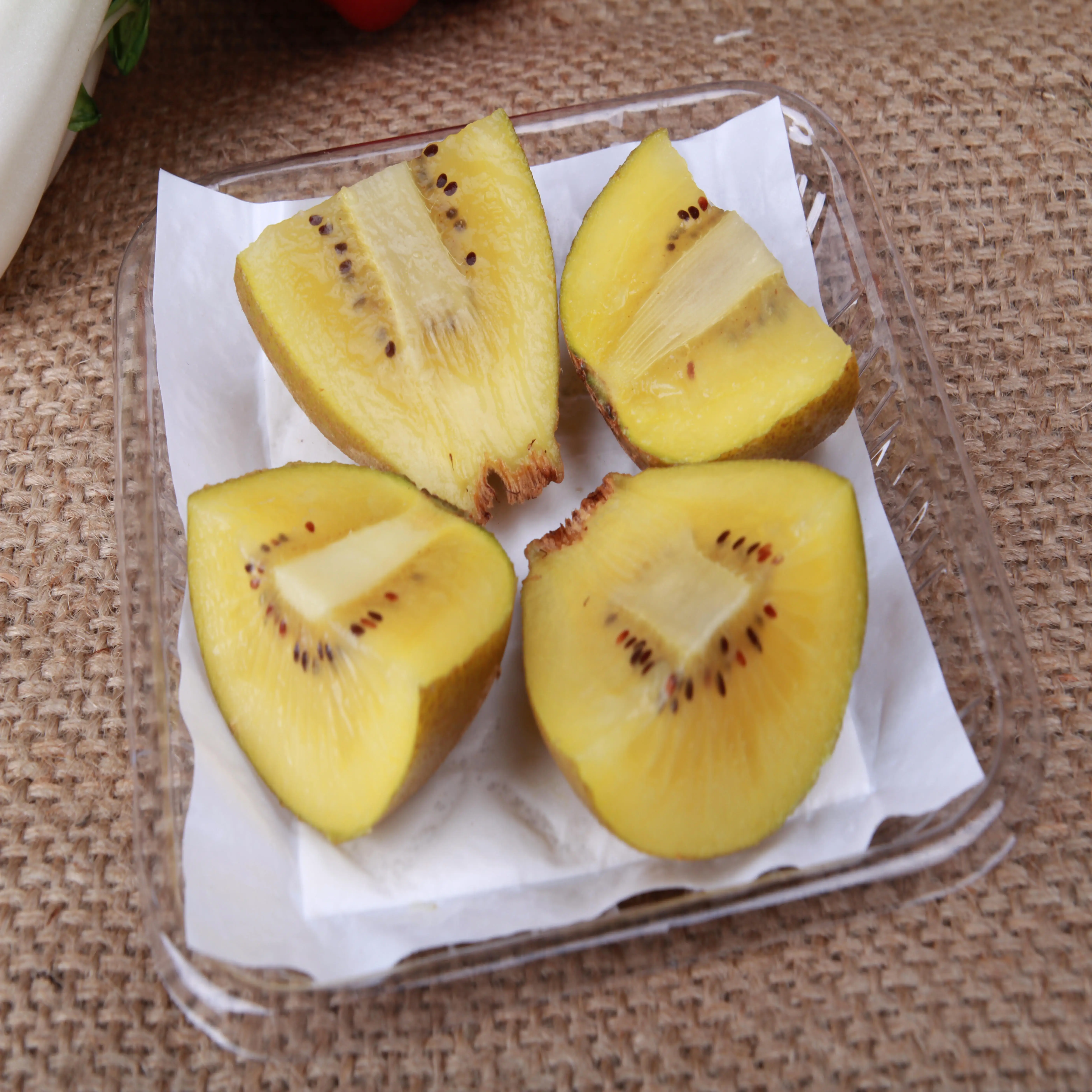 High Quality Absorbent Pad for Meat, Seafood and Poultry