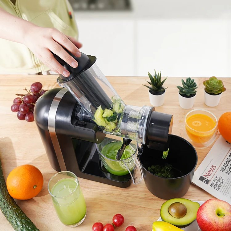 Cold Press Juicer Compact Single Serve Slow Masticating Vegetable and Fruit Juice Maker Squeezer Machine