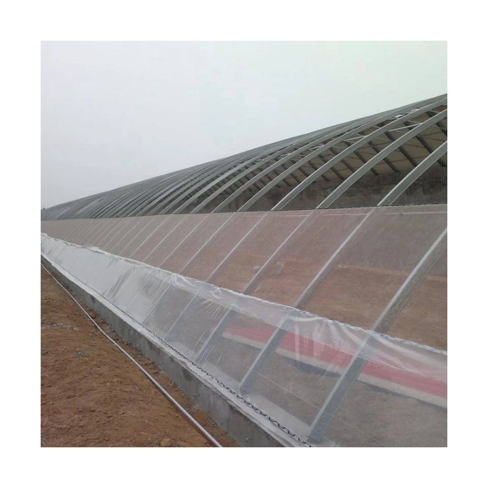 Promotional various  in-solar greenhouses agricultural greenhouses green house greenhouse