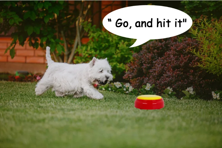 Talking sound button....png