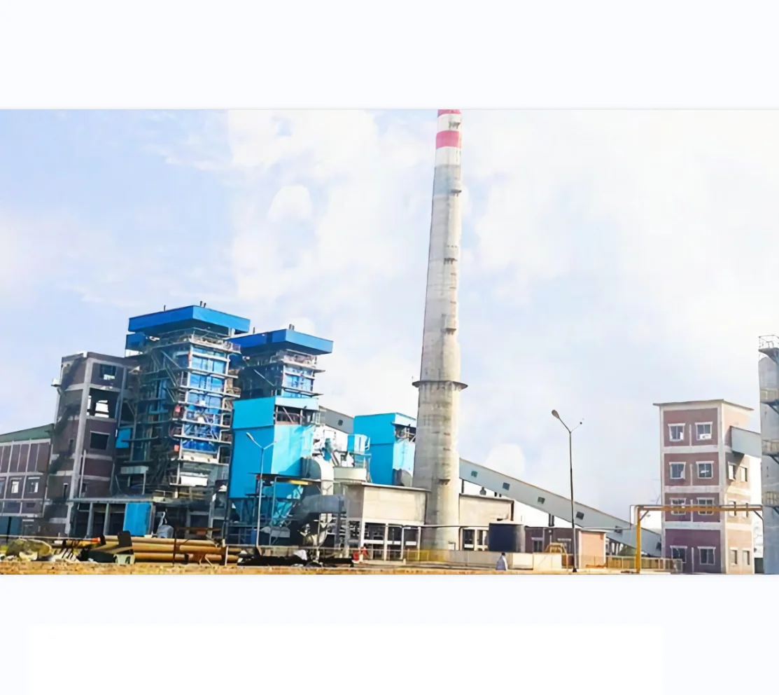 Biomass boiler electric generator