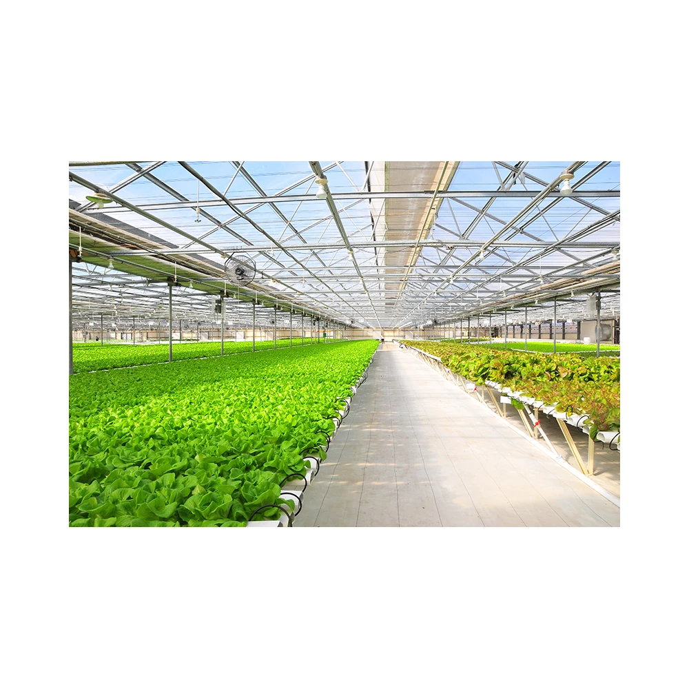 New Listing Saving-water Hydroponics Vegetables  PVC Greenhouse Seed Cultivation Pvc Hydroponic Gutter Supplier