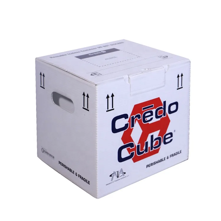 Unique Design Recyclable Plastic Moving Pp Corrugated Polypropylene Sheet Box