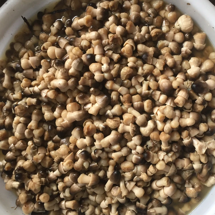 canned chinese straw mushroom whole in brine