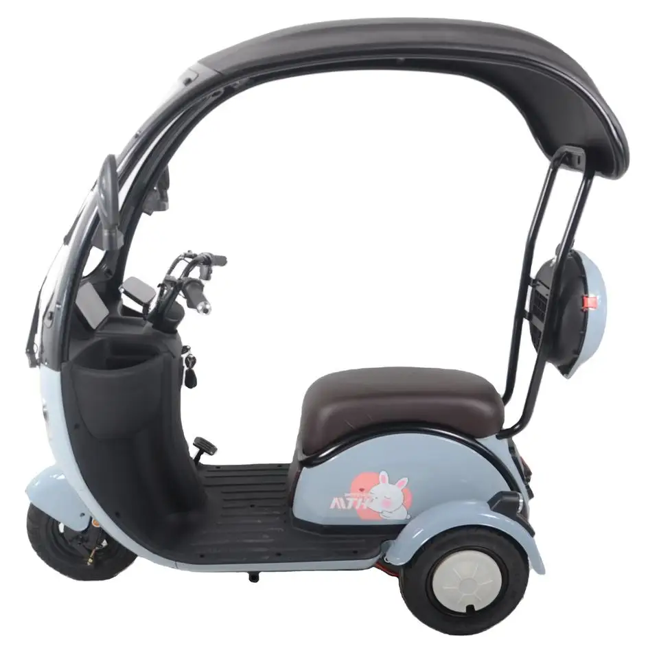 Cute Design Three Wheel Electric Tricycles Drum Brake With Roof Popular Scooter