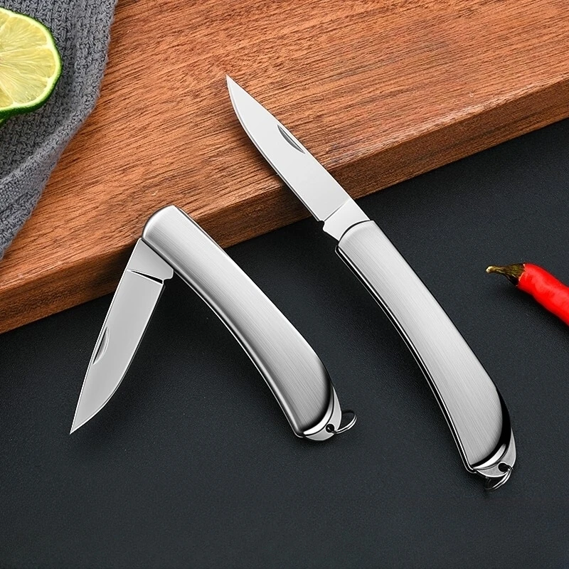 Stainless Steel Folding Knife Pocket Small Portable for Outdoor Camping Emergency