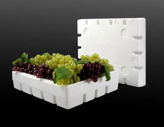 Top Quality EPS Fruit Foam Box Making Machine