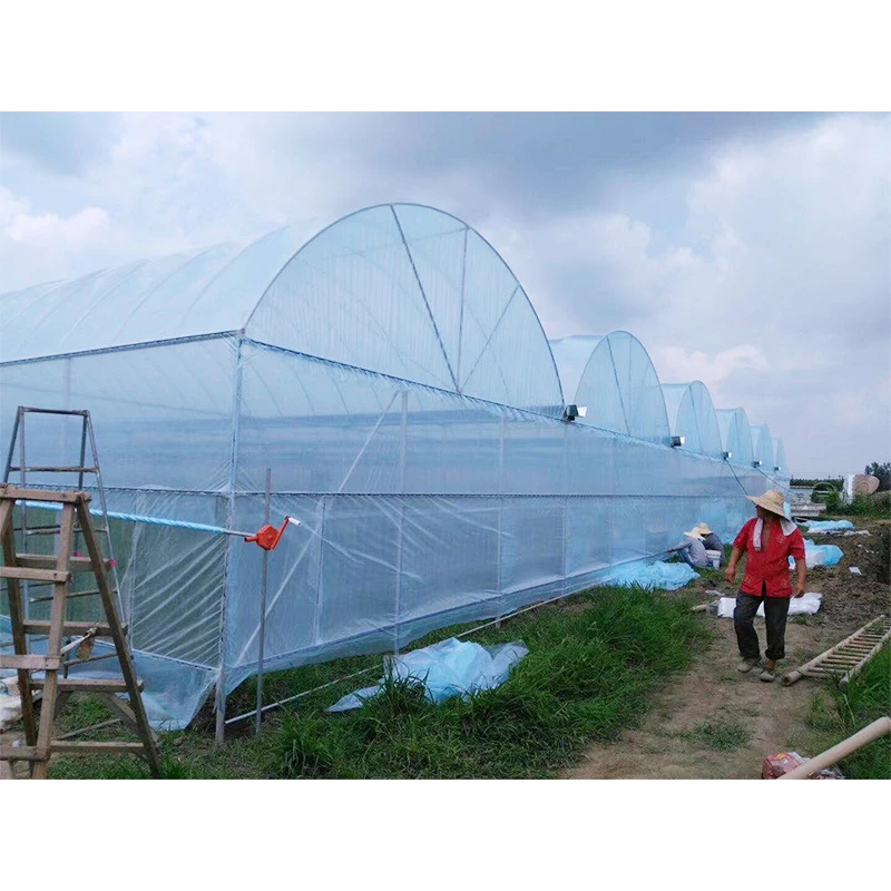 
Greenhouse Intelligent Multi-Span Greenhouses With Commercial 