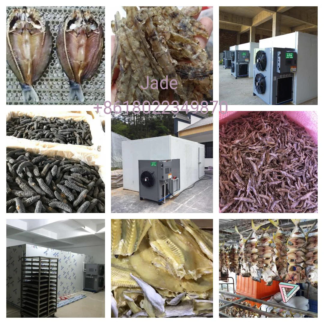 Fully automatic heat pump dryer meat scorpion drying room