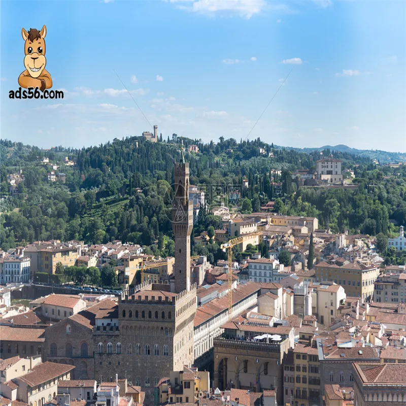 Professional Reliable DDP Sea/Air freight forwarder china  to Saudi Arabia Fast Sea/Air Freight Shipping Agent from China DDP