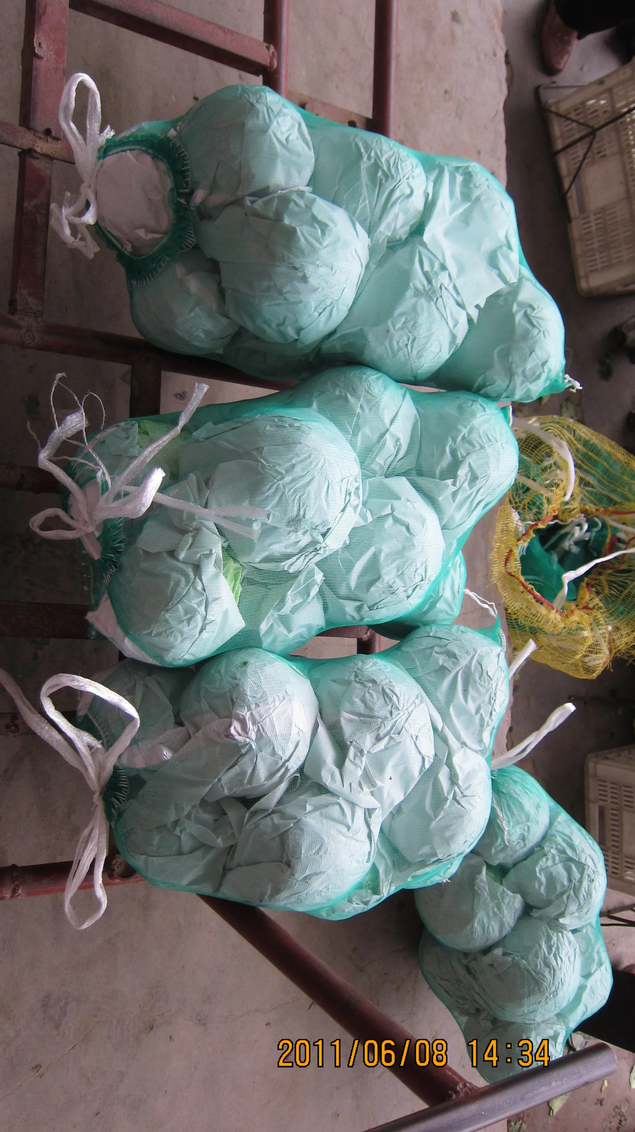 
small round cabbage from China 