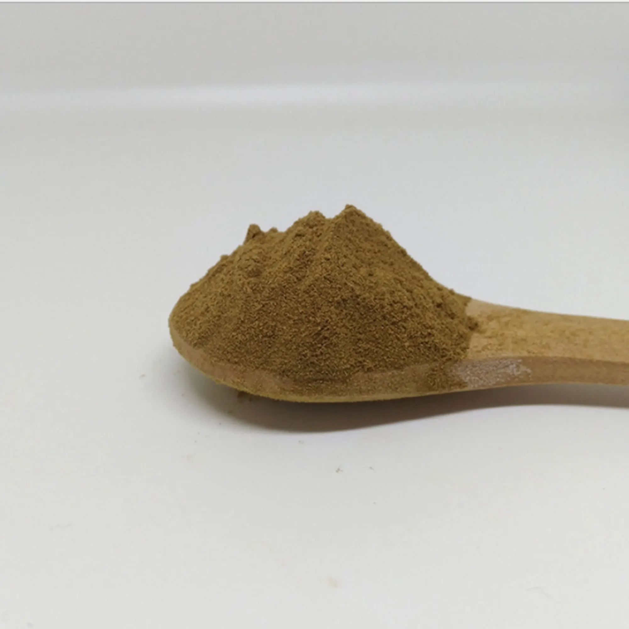 OEM hot selling Rosmarinic acid extracts 100% natural plant extract