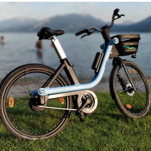 26inch electric bike sharing LH-E09