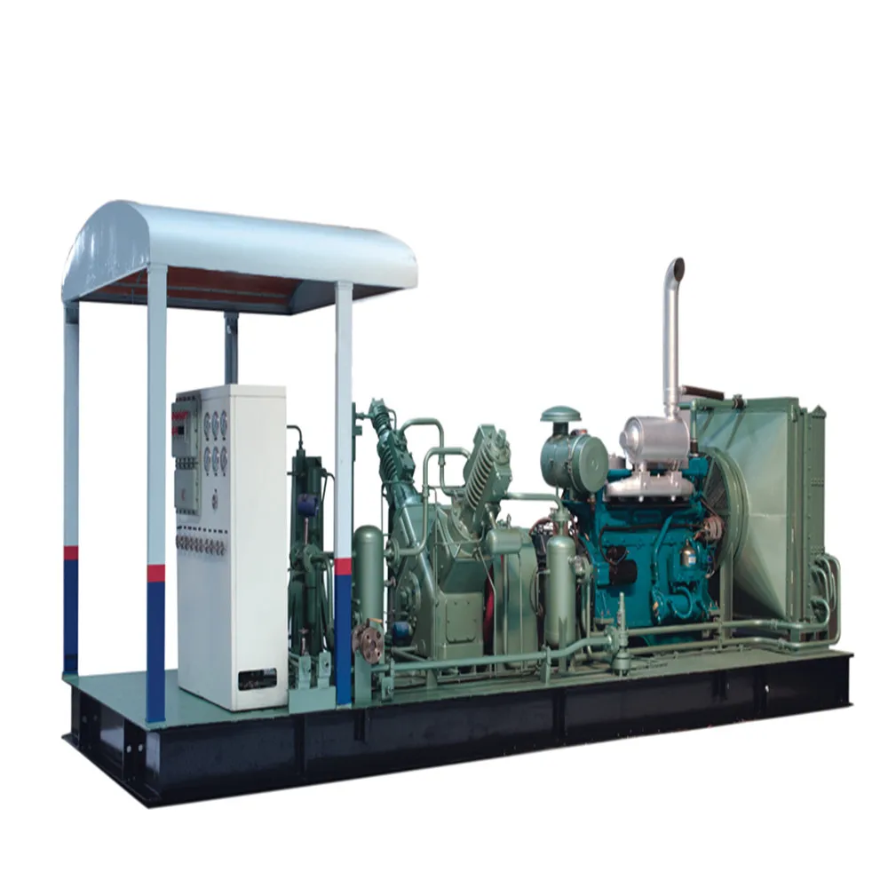 Promotional price customized Bottling Compressor for Biogas Industry
