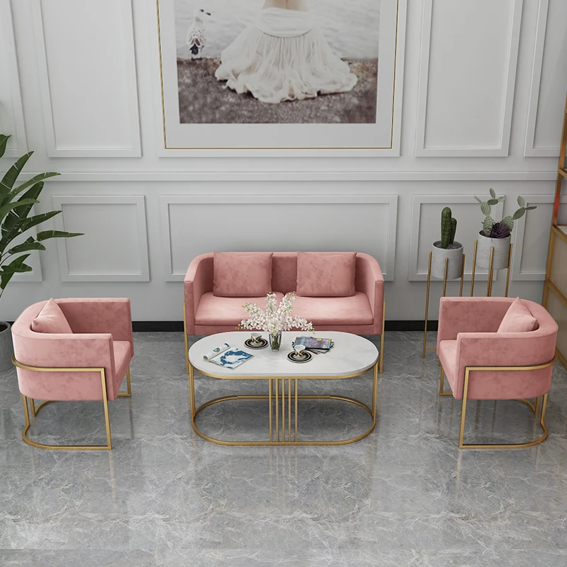 Nordic  iron craft two seat Sectional Sofa leisure sofa set for small household family living room furniture