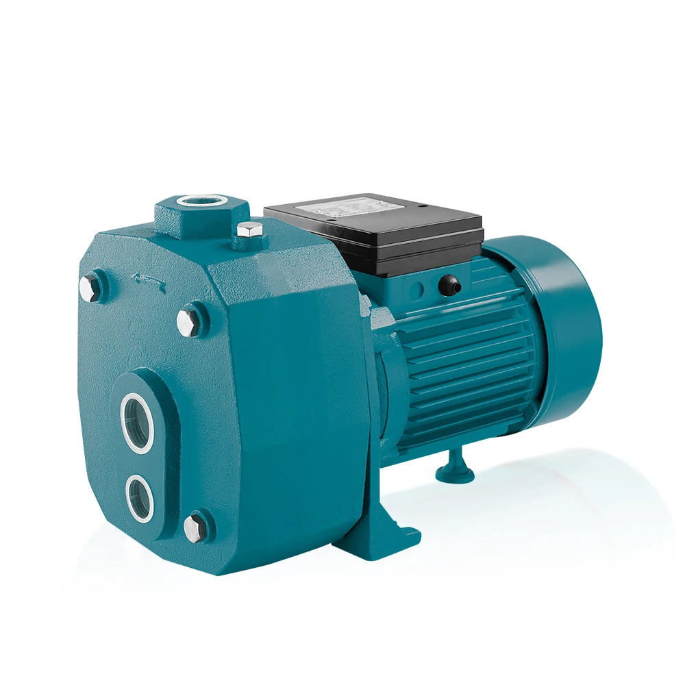 1.5hp 2hp garden irrigation domestic water pump