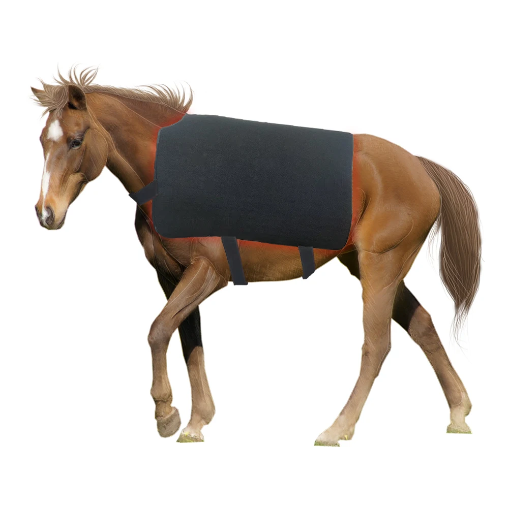Shanglaite Pain Relief Health Care Red Light Infrared Light Therapy 660nm 850nm Horse Care Product