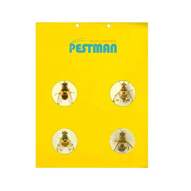  Pestman ловушка для фруктов мух феромонов