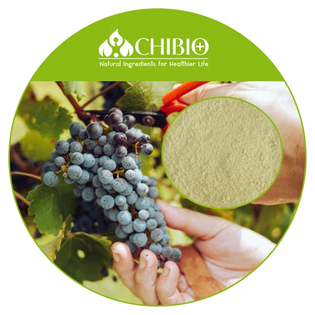 High Quality Bulk Price Potassium Polyaspartate KPA for Wine