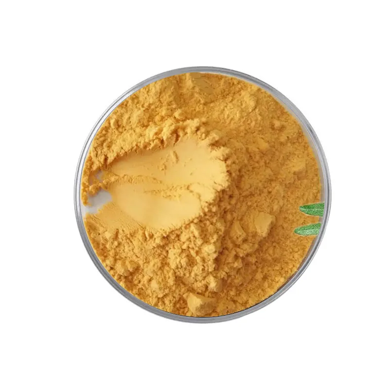 Wholesale Bulk Organic Sea Buckthorn Extract Seabuckthorn Fruit Juice Powder