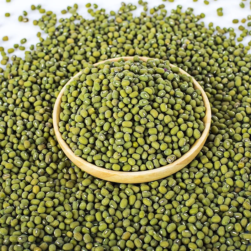 
Grade A Green Mung Beans from China for Food and Sprouting Moong Dal 