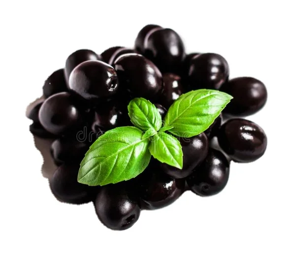 TOP QUALITY FRESH OLIVES BLACK ORGANIC TURKISH OLIVES NATURAL BLACK OLIVES  Agrowell-Turkish Goods