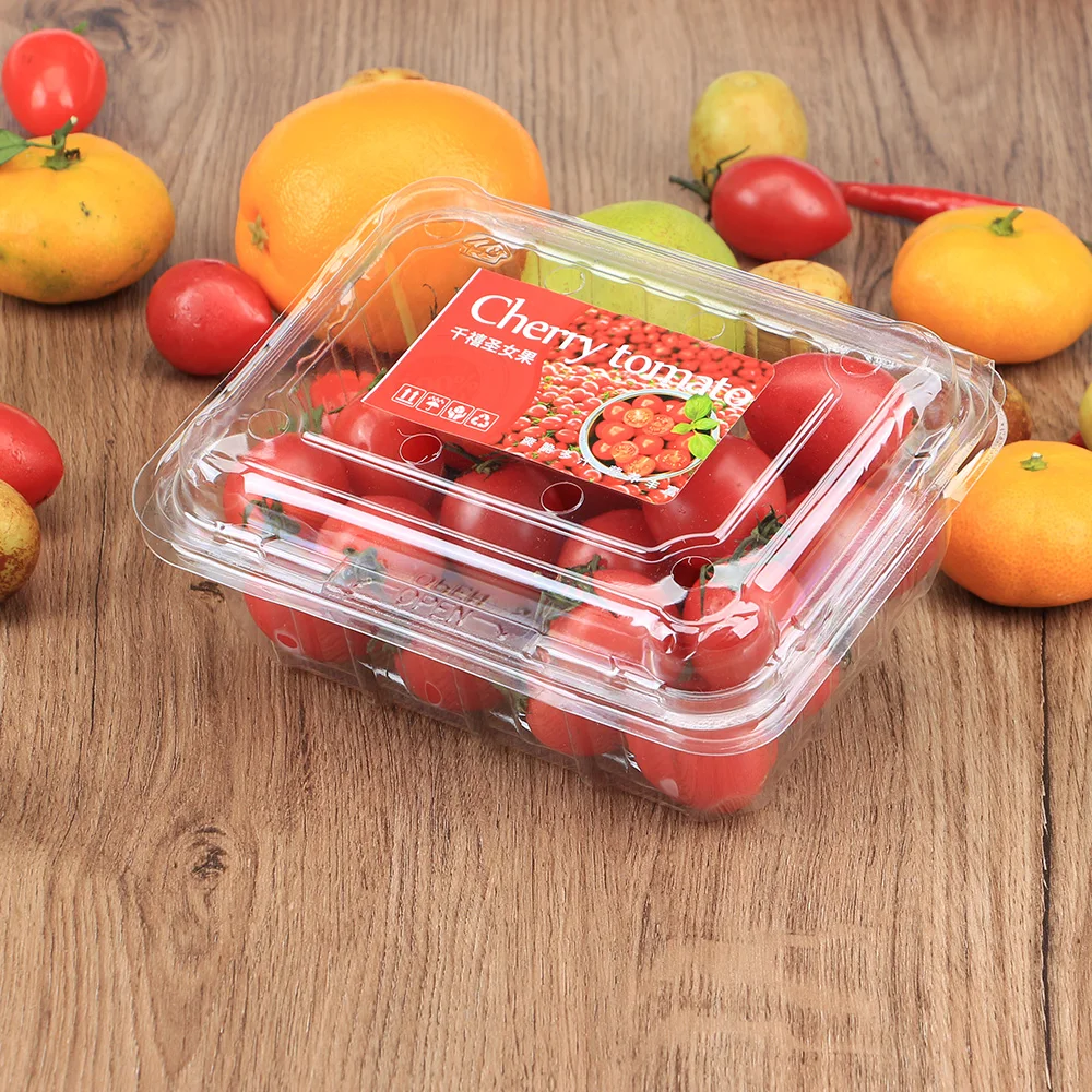 Plastic Blister Clamshell Food Eco-friendly Disposable