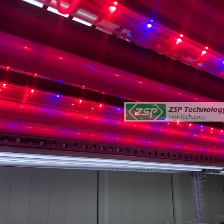
ZSP T8 T5 ZPDT802 LED Grow Light murashige skoog medium ms tissue culture 